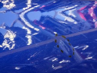 bontott VW ID.4 Jobb hátsó Ajtó (Üres lemez)