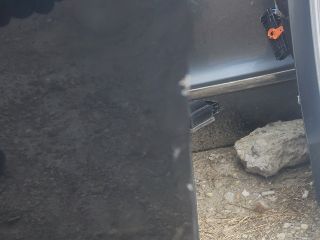 bontott VW JETTA Bal első Ajtó (Üres lemez)