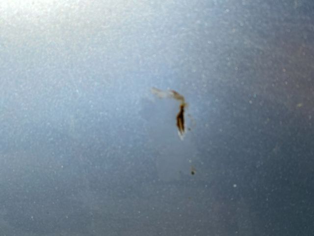 bontott VW JETTA Motorháztető