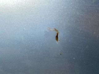 bontott VW JETTA Motorháztető