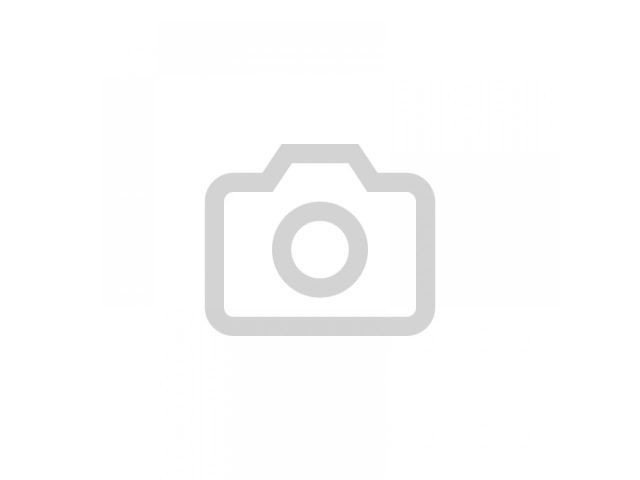 bontott VW LT Bal hátsó Ajtó (Üres lemez)