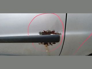 bontott VW PASSAT B5 Hűtőventilátor