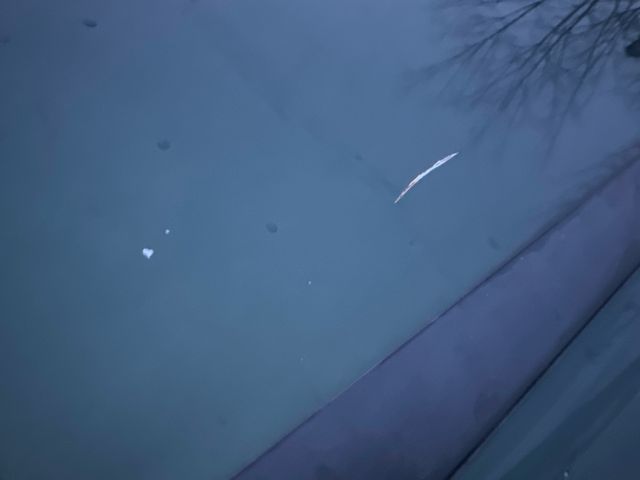 bontott VW PASSAT B5 Jobb első Ajtó (Üres lemez)