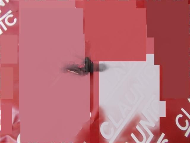 bontott VW PASSAT B6 Kuplung Főhenger