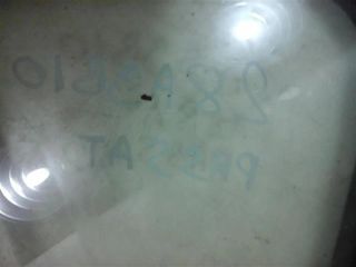 bontott VW PASSAT B6 Bal hátsó Fixüveg (Ajtóban)