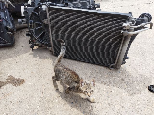 bontott VW PASSAT B6 Intercooler