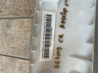 bontott VW PASSAT B6 Jobb A Oszlop Burkolat