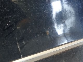 bontott VW PASSAT B6 Jobb hátsó Ajtó (Üres lemez)