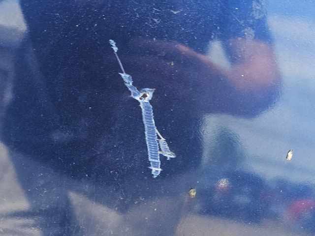 bontott VW PASSAT B6 Motorháztető