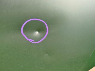 bontott VW PASSAT B8 Motorháztető