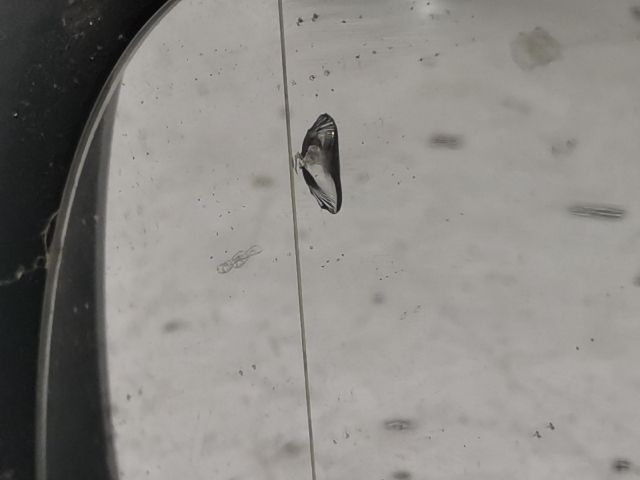 bontott VW POLO IV Bal Visszapillantó Tükör (Mechanikus)