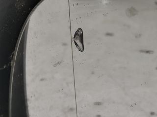 bontott VW POLO IV Bal Visszapillantó Tükör (Mechanikus)