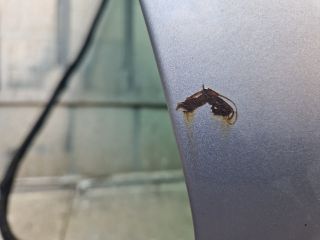 bontott VW POLO V Csomagtérajtó (Részeivel)