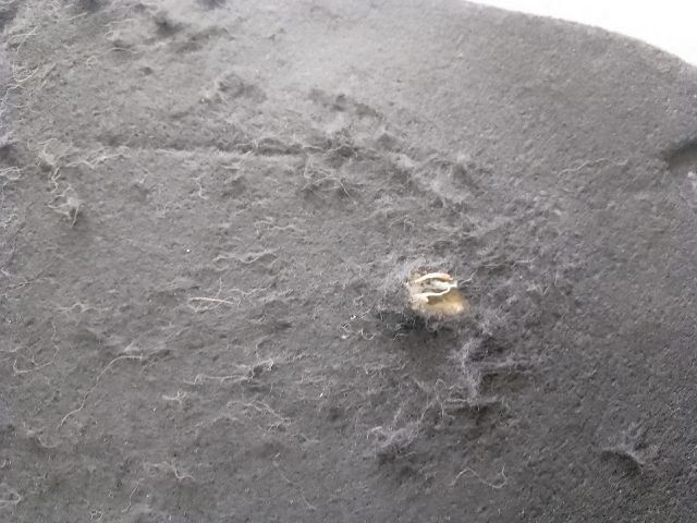 bontott VW POLO V Motorháztető Szigetelés