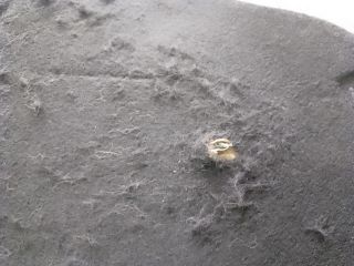 bontott VW POLO V Motorháztető Szigetelés