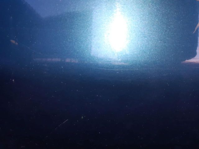 bontott VW SHARAN Bal első Ajtó (Üres lemez)