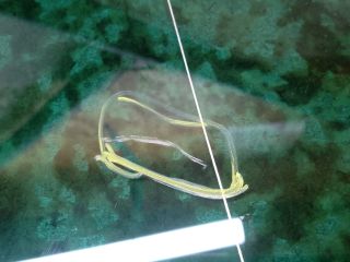 bontott VW SHARAN Jobb C Oszlop Oldalablak Üveg