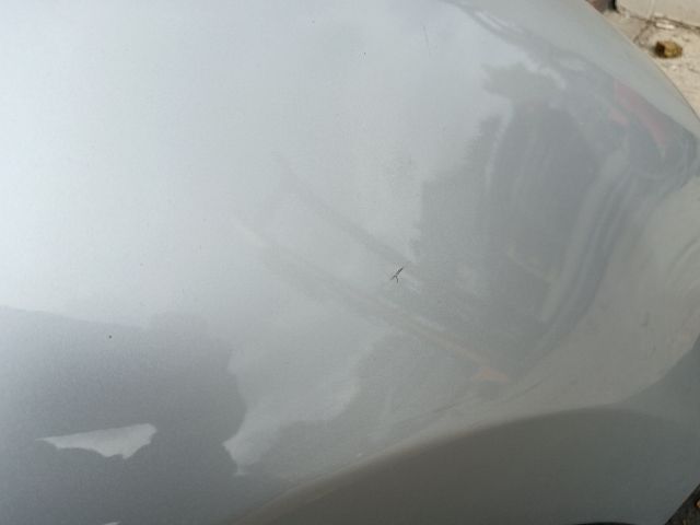 bontott VW SHARAN Jobb első Sárvédő