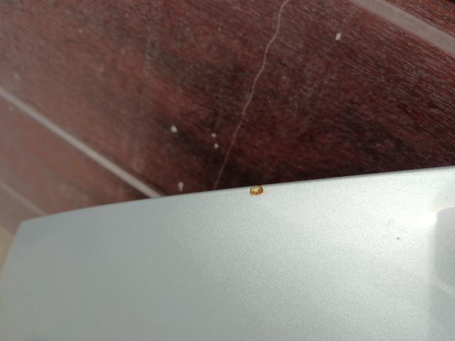 bontott VW SHARAN Motorháztető