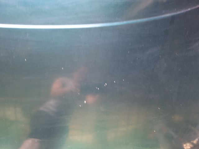 bontott VW SHARAN Motorháztető