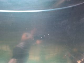 bontott VW SHARAN Motorháztető