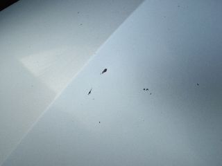 bontott VW SHARAN Motorháztető