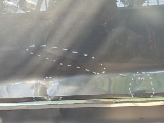 bontott VW T-ROC Bal első Ajtó (Üres lemez)