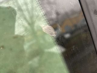 bontott VW TIGUAN Bal hátsó Ajtó (Részeivel)