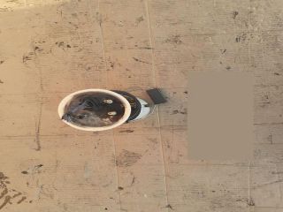 bontott VW TOURAN Üzemanyag Szivattyú