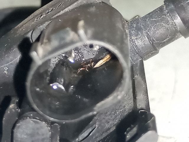 bontott VW TOURAN Első Ablakmosó Fúvóka