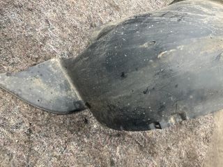 bontott VW TRANSPORTER Bal első Első Dobbetét (Kerékjárati, Műanyag)