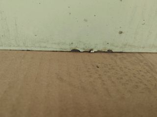 bontott VW TRANSPORTER Jobb első Ajtó (Üres lemez)