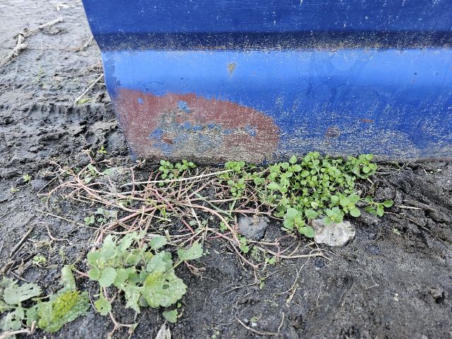 bontott VW TRANSPORTER Jobb Tolóajtó (Üres lemez)