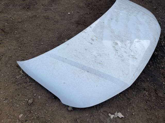 bontott VW TRANSPORTER Motorháztető