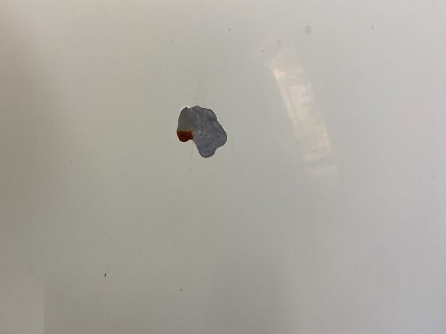 bontott VW TRANSPORTER Motorháztető