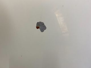 bontott VW TRANSPORTER Motorháztető