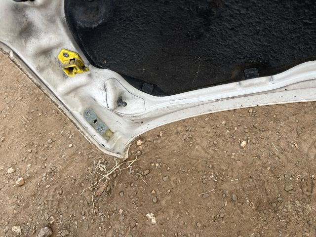 bontott VW TRANSPORTER Motorháztető