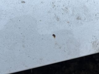 bontott VW TRANSPORTER Motorháztető